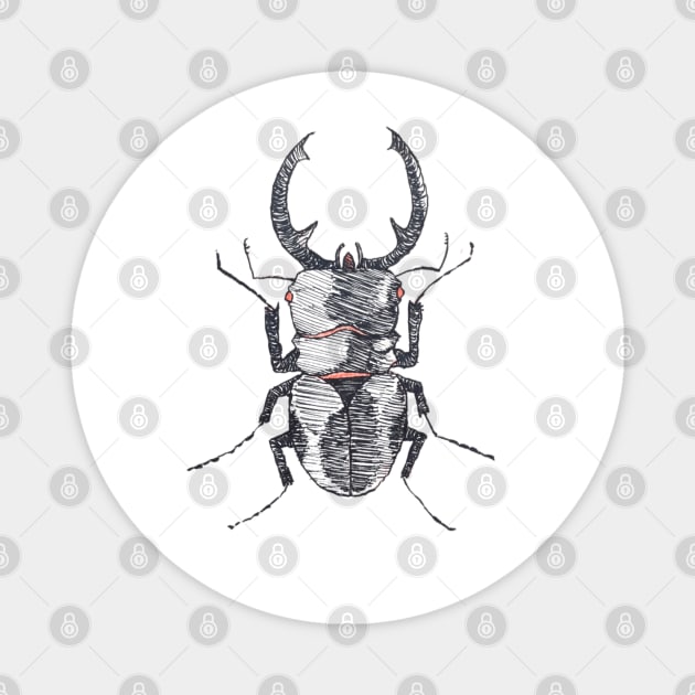 Stag Beetle Magnet by teufelberg